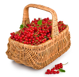 Similar image 1392308