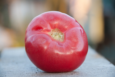 Similar image 1392340