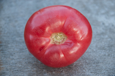 Similar image 1392341