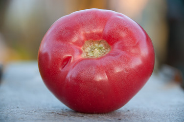 Similar image 1392342