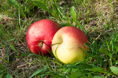 Similar image 1392349