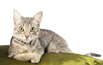 Similar image 1392372