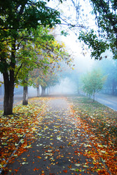 Similar image 1392423