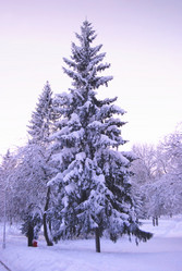 Similar image 1392425