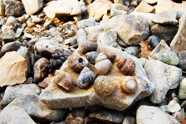 Similar image 1392426