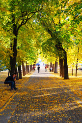 Similar image 1392428