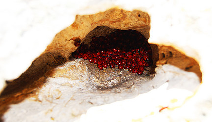 Similar image 1392429