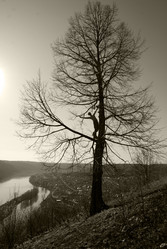 Similar image 1392431