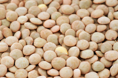 Similar image 1392452