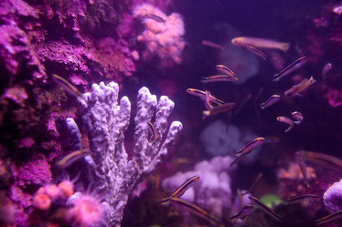 Similar image 1392527