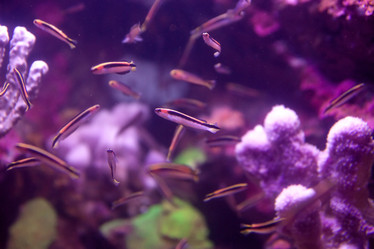 Similar image 1392528