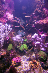 Similar image 1392529