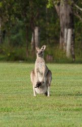 Similar image 1392562