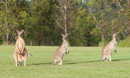 Similar image 1392565