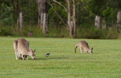 Similar image 1392566