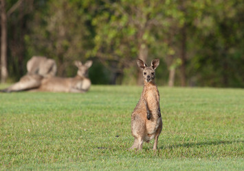 Similar image 1392572