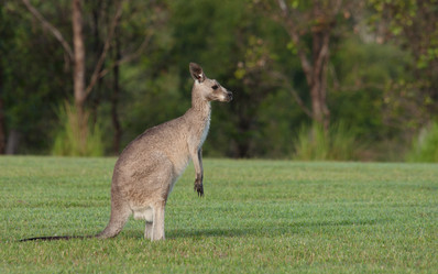 Similar image 1392577