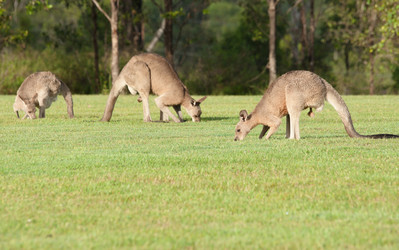 Similar image 1392601