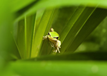 Similar image 1392615