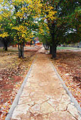 Similar image 1392627