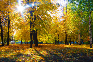 Similar image 1392628