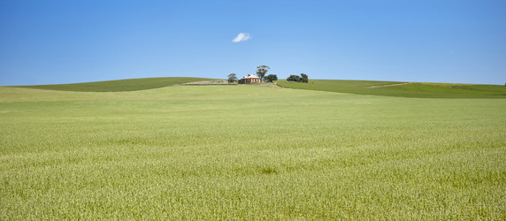 Similar image 1392729