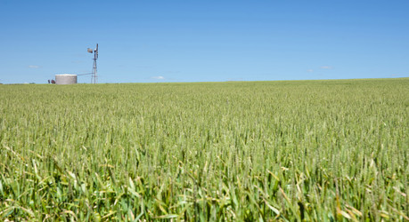 Similar image 1392744