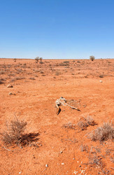 Similar image 1392749