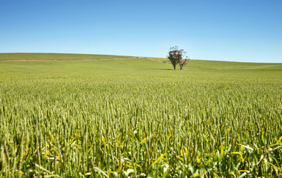 Similar image 1392757