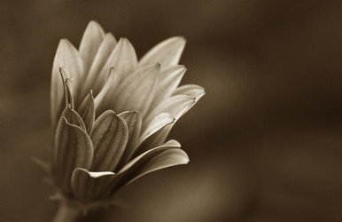 Similar image 1392769