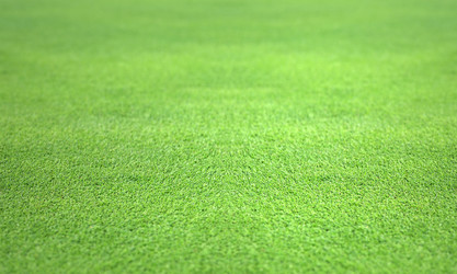 Similar image 1392810