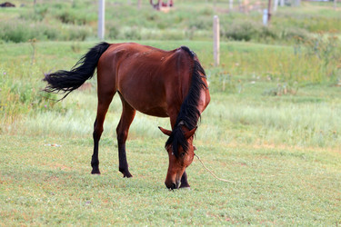 Similar image 1392845