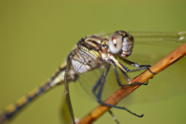 Similar image 1392888