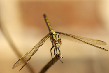 Similar image 1392889