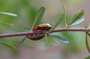 Similar image 1392916