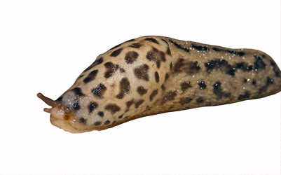 Similar image 1392920