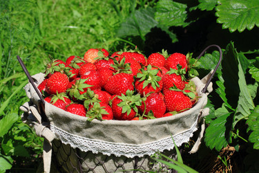 Similar image 1392971