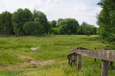 Similar image 1392976