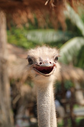 Similar image 1392979