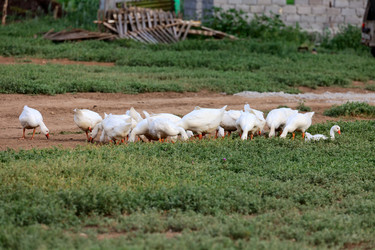 Similar image 1392988