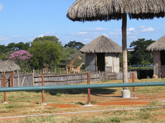 Similar image 1392997