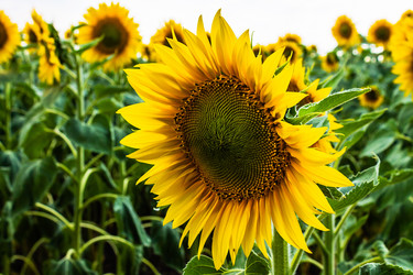 Similar image 1393575