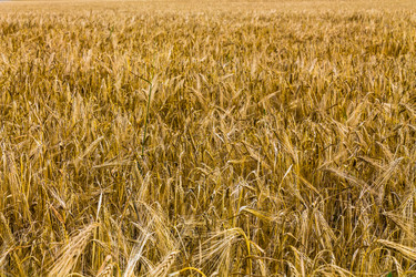 Similar image 1393578