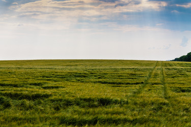 Similar image 1393580