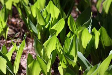 Similar image 1393583