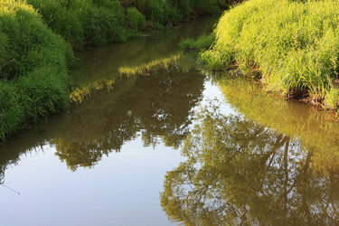 Similar image 1393661