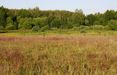 Similar image 1393662