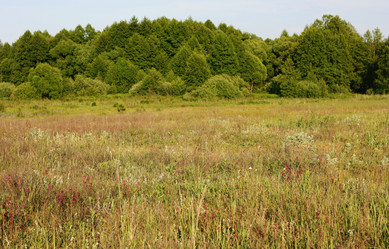 Similar image 1393701