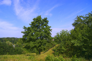 Similar image 1393703