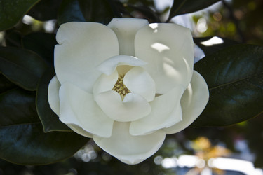 Similar image 1393783